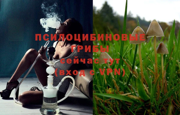 бошки Сатка