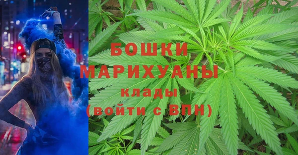 бошки Сатка