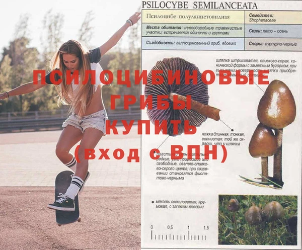 ECSTASY Сафоново