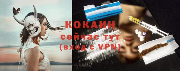 бошки Сатка