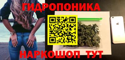 тгк Канаш