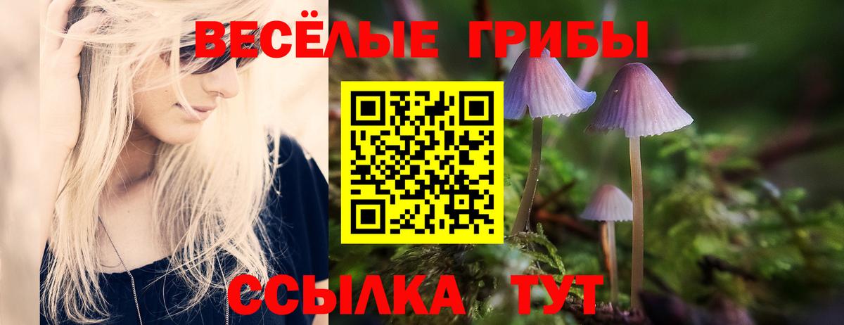 Галлюциногенные грибы Cubensis Серов